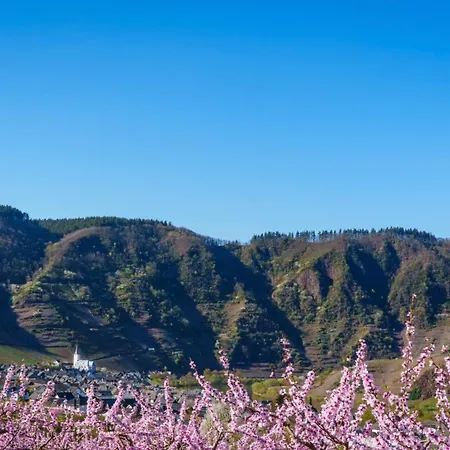 Apartamento Auf Sarret *