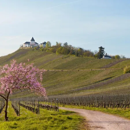 Apartamento Auf Sarret Bullay