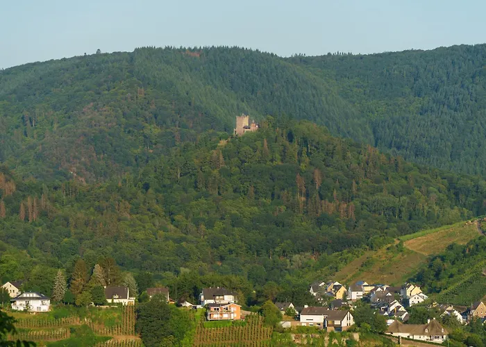 Auf Sarret Appartement Bullay