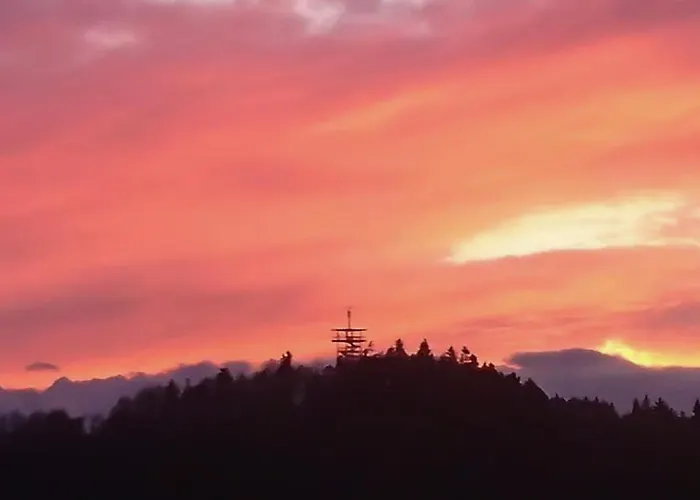 Auf Sarret Appartement