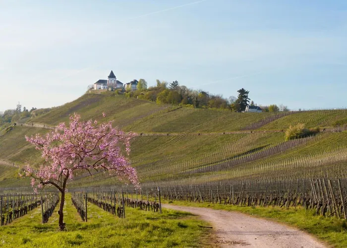 Appartement Auf Sarret Bullay